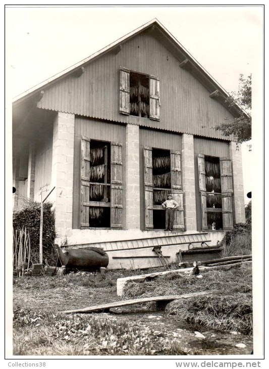 Sales - Photo (17.5cm X 12cm) - Séchoir à Tabac Chez M. Fromajet à Sales (Hte-Savoie) - Autres & Non Classés