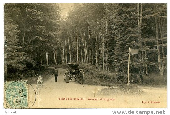 76 SAINT-SAENS ++ Forêt De ... - Carrefour De L'Epinette ++ - Autres & Non Classés