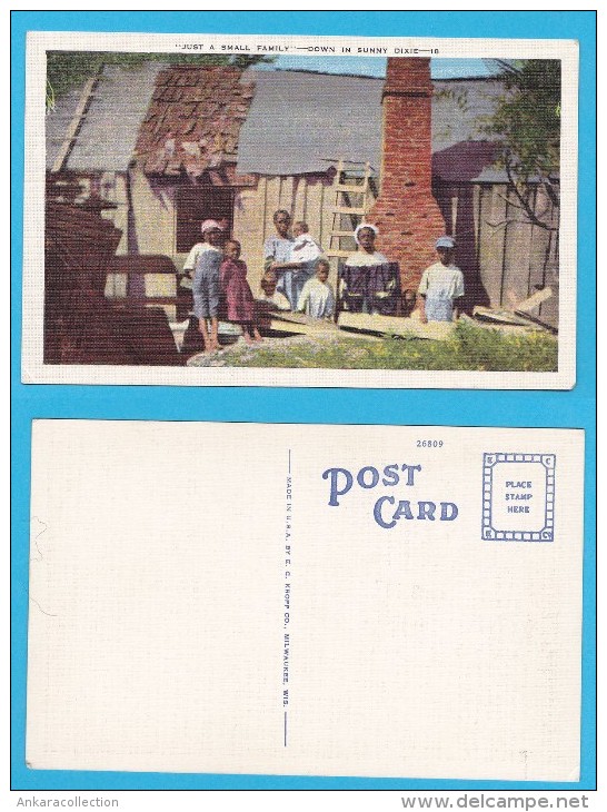 AC - AMERICA ETHNIC POSTCARD - JUST A SMALL FAMILY DOWN IN SUNNY DIXIE - Amérique