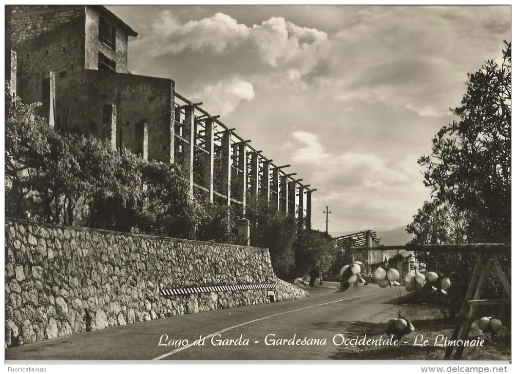 LAGO DI GARDA -GARDESANA OCCIDENTALE -LE LIMONAIE -FG - Altri & Non Classificati