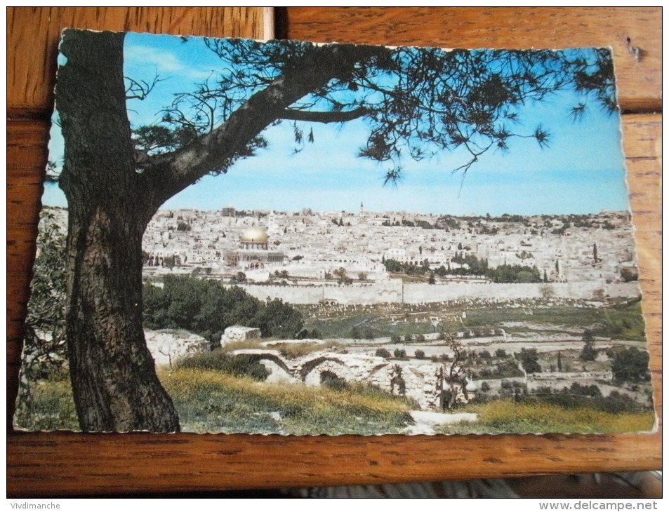 PANORAMA DE GETSEMANI - JERUSALEM - JORDANIE - CPSM ECRITE - Jordanie