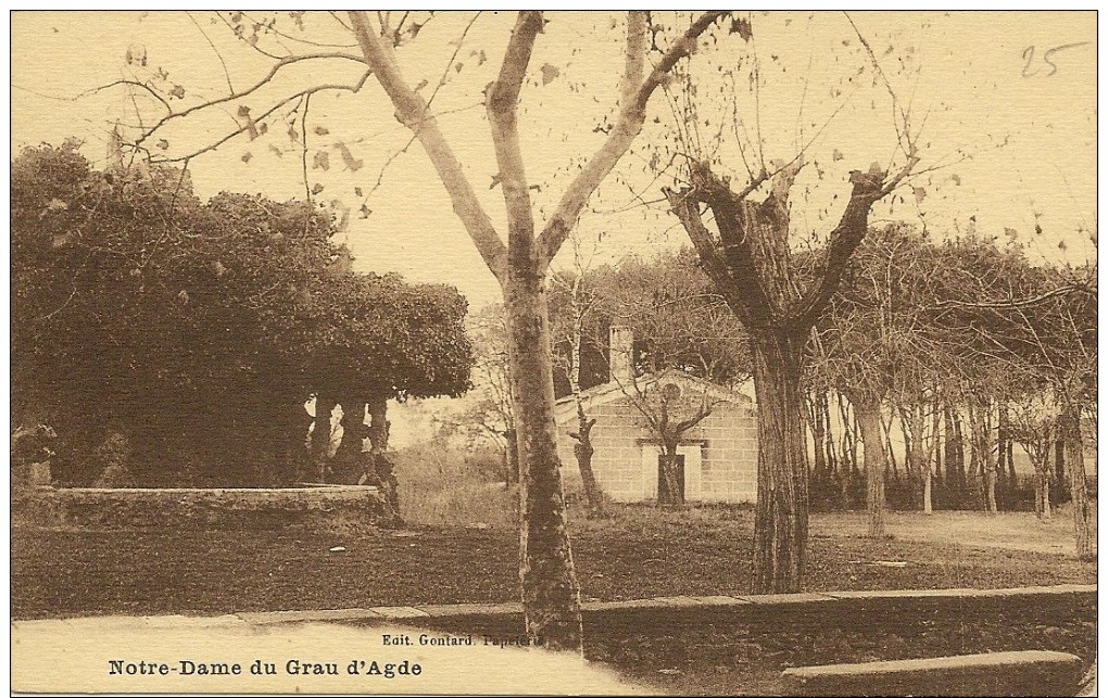 Carte Postale:AGDE (34) :Notre Dame Du Grau D'Agde - Agde