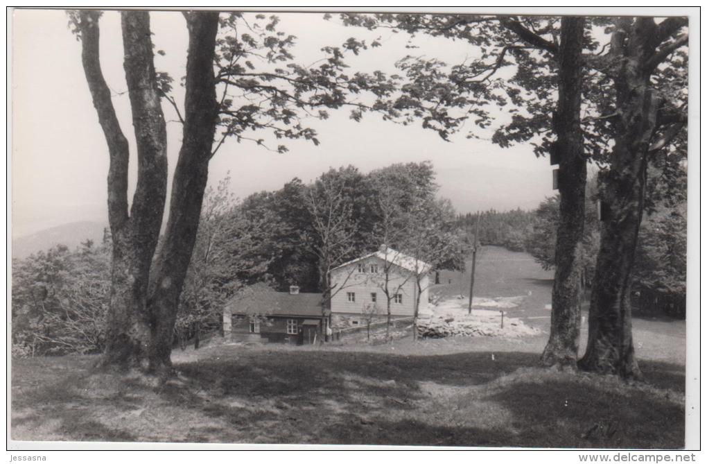 AK - NÖ - Schöpflhütte Am Schöpfl - 1955 - Neulengbach