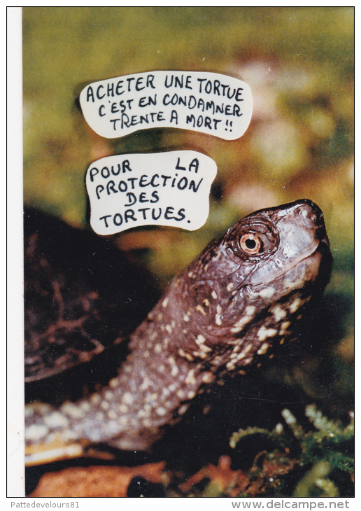 CPM Protection Des Tortues Protection Animale Animal Welfare Turtle Tortoise Tirage Limité LARDIE - Schildpadden