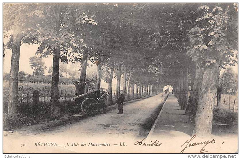 Bethune    62     Allée Des Marronniers     (pli) - Bethune