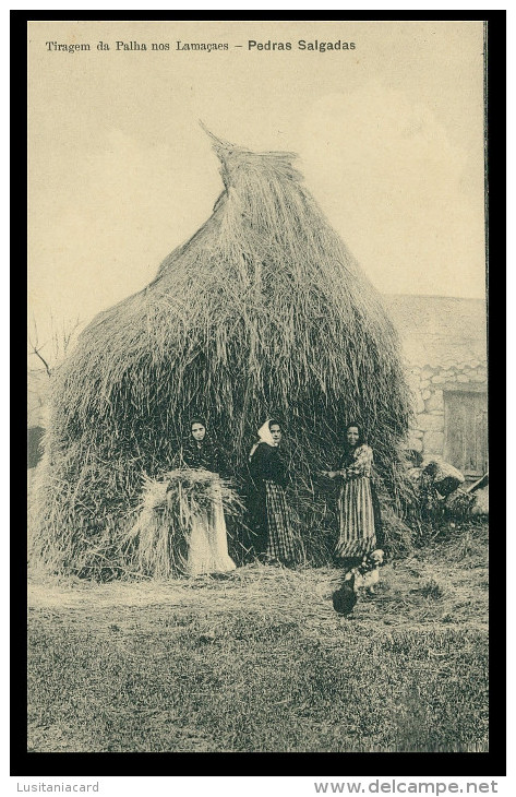 VILA POUCA DE AGUIAR - PEDRAS SALGADAS - COSTUMES- Tiragem Da Palha Dos Lamaçaes  Carte Postale - Vila Real