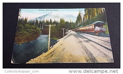 1907-1910 Postcard Rainier National Park Train Railroad Railway WA - Other & Unclassified