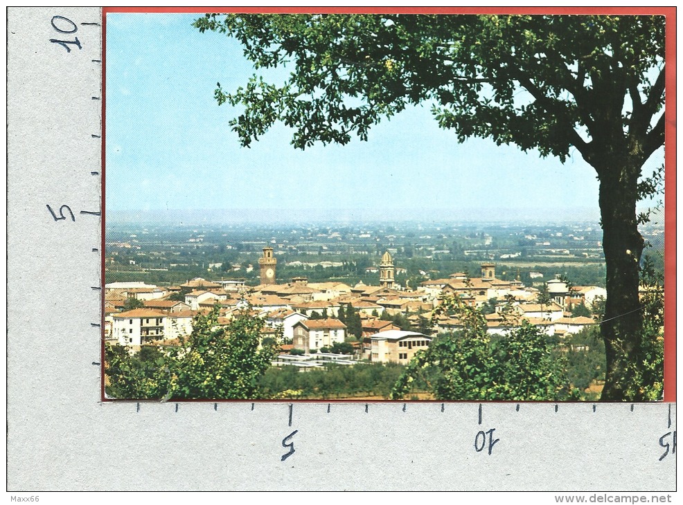 CARTOLINA VG ITALIA - CASTEL S. PIETRO TERME (BO) - Stazione Di Cura E Soggiorno - Panorama - 10 X 15 - ANN. 1974 - Altri & Non Classificati