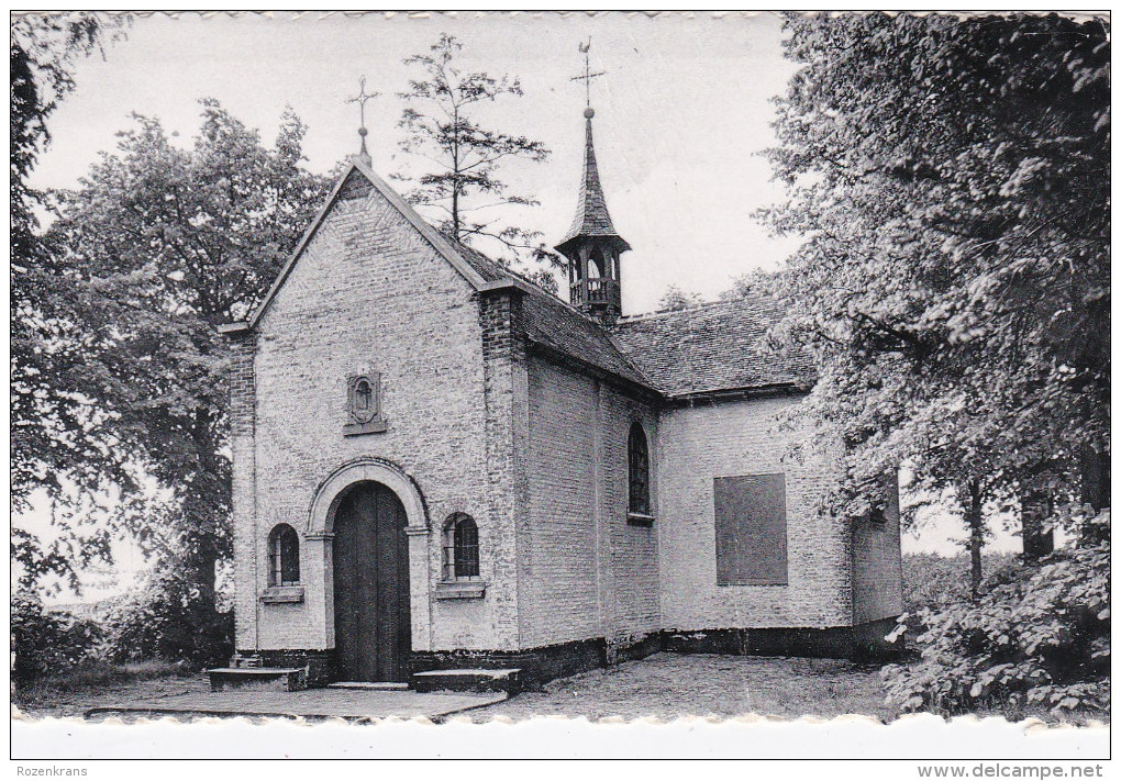 HERENTALS.-- KAPELLEKE VAN DE KRUISBERG - Grote Plooi 1952 - Kasterlee