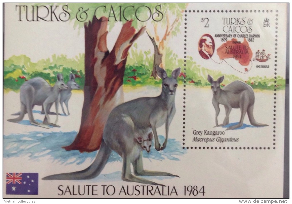 Turks & Caicos Islands MNH Souvenir Sheet 1981 : Anniversary Of Charles Darwin / Visiting To Australia / Kangooroo - Autres - Océanie