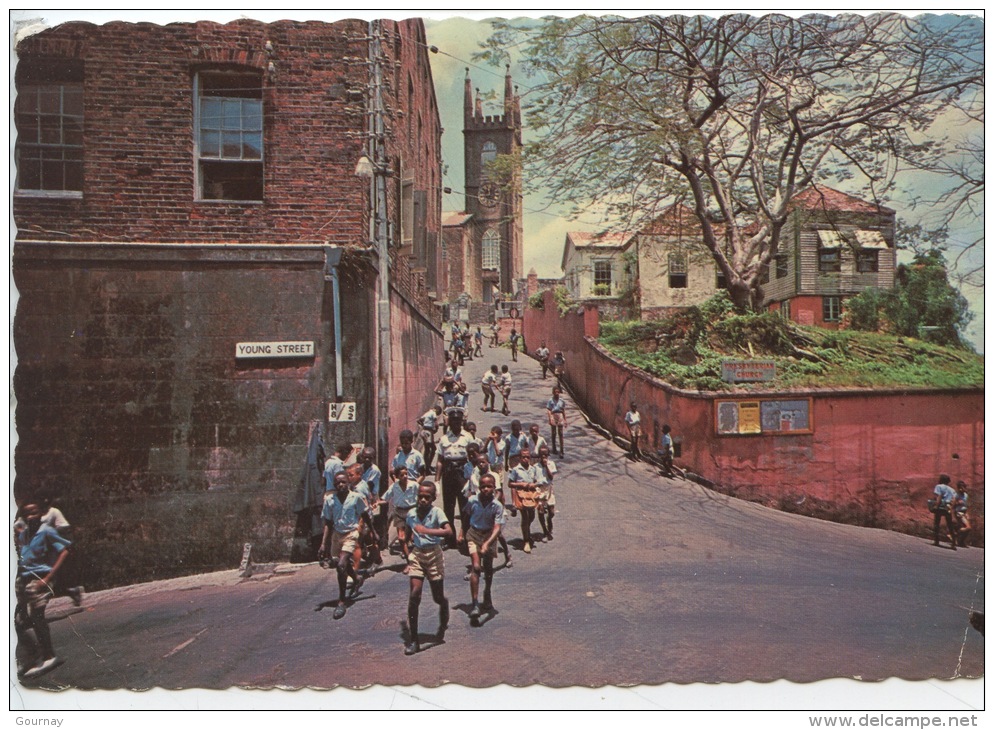 Grenada West Indies : Children On The Way Borne From School St George's - Grenada