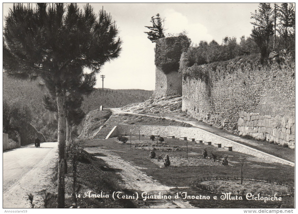 CARTOLINA: AMELIA (TERNI) GIARDINO D'INVERNO E MURA CIELOPICHE (MOVIMENTATA) - F/G - B/N - VIAGGIATA - LEGGI - Autres & Non Classés