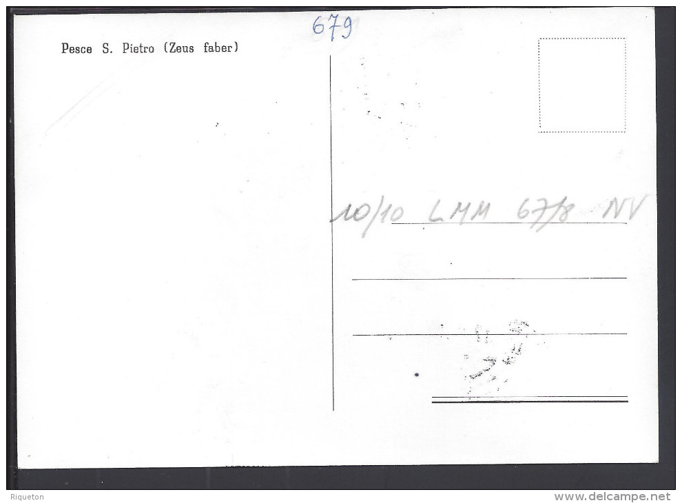 SAINT-MARIN - 1967 - BELLE CARTE MAXIMUM THEMATIQUE POISSONS " PESCE SAN PIETRO " - - Lettres & Documents