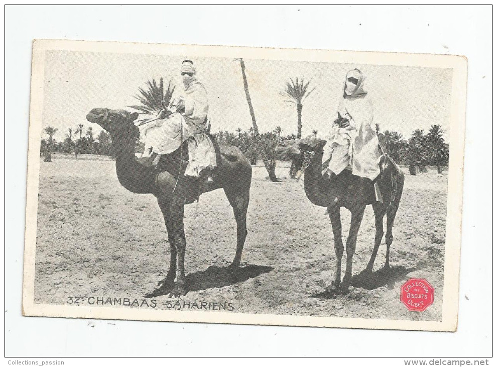 Cp , ALGERIE , CHAMBAAS SAHARIENS , Collection Des Biscuits OLIBET , Vierge , Folklore - Hommes