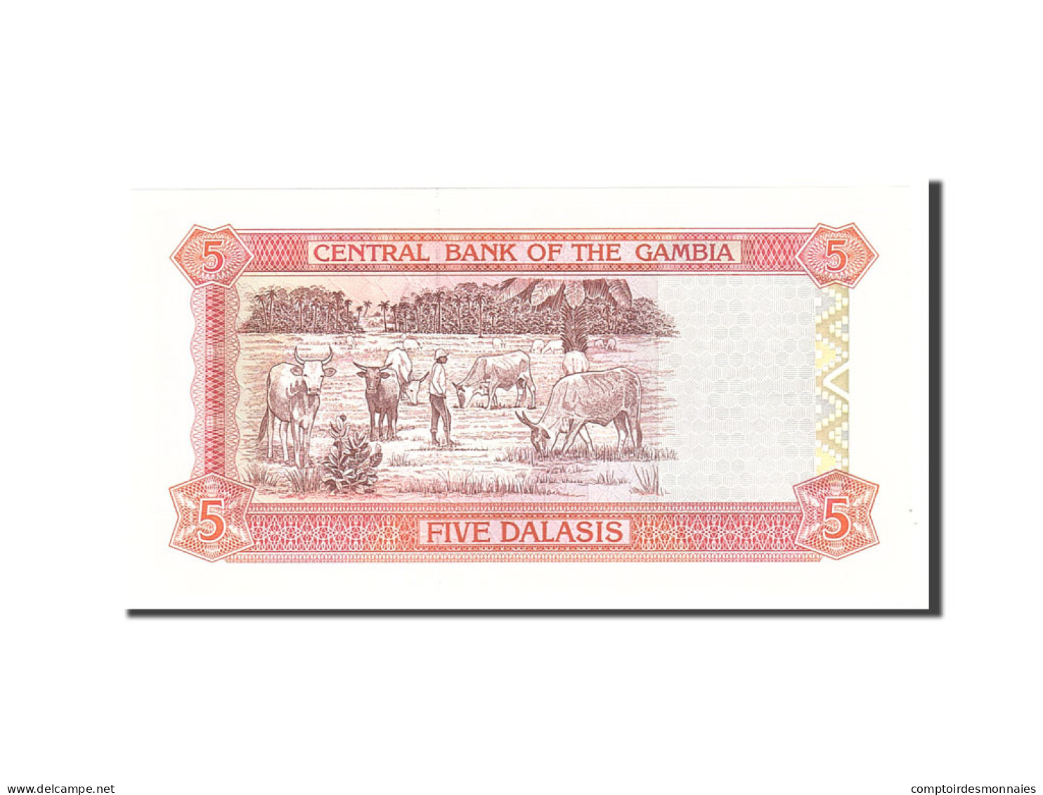 Billet, Gambia, 5 Dalasis, 1996, Undated, KM:16a, NEUF - Gambia