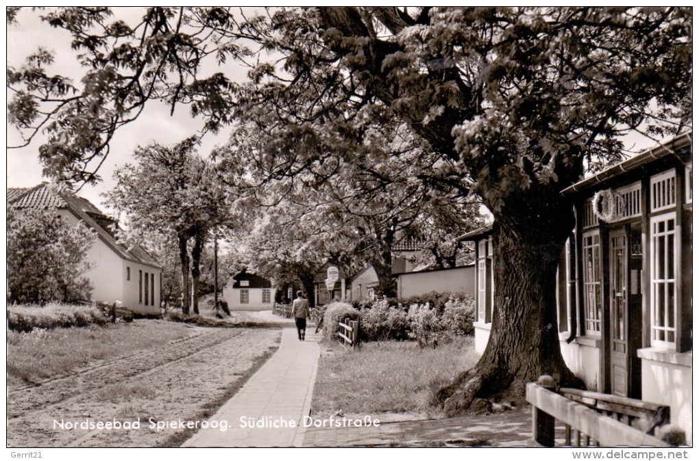2941 SPIEKEROOG, Südliche Dorfstrasse, 1960 - Wittmund