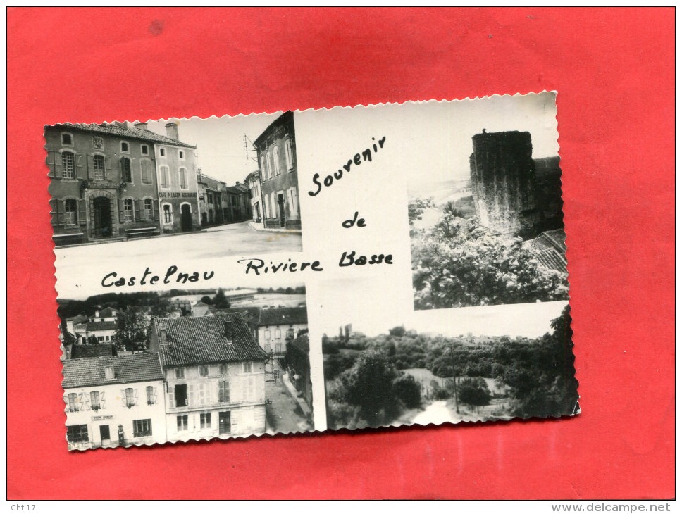 CASTELNAU RIVIERE BASSE   1950    MUTI VUES    CIRC OUI EDIT - Castelnau Riviere Basse