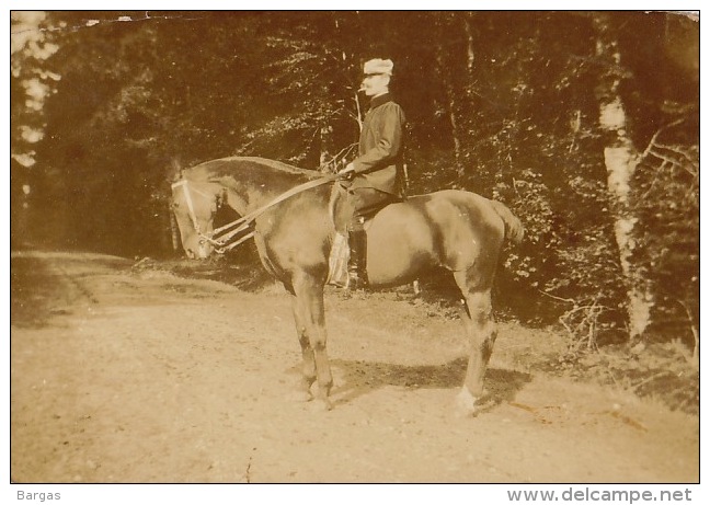 15 Photos Ancienne Militaire Officier Uniforme Cavalerie Chevaux - Guerre, Militaire