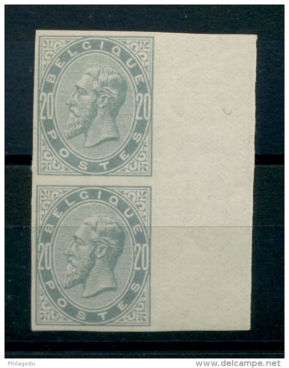 39  Paire  Non Dentelée  Avec Et Sans Charnière  LUXE  Bord De Feuille - 1865-1910