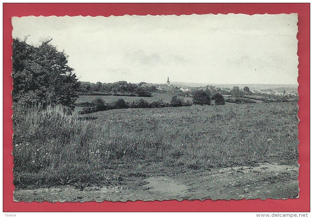 Cartes Province De Luxembourg / Petit Prix - Sohier - Panorama ... Du Village ( Voir Verso ) - Wellin