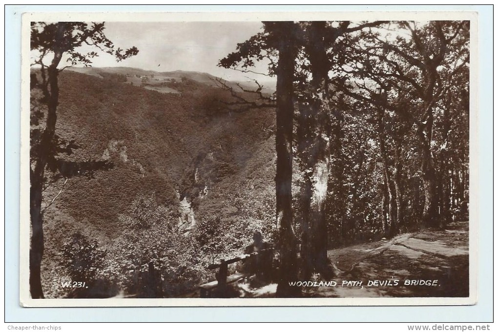 Devil's Bridge - Woodland Path - Cardiganshire