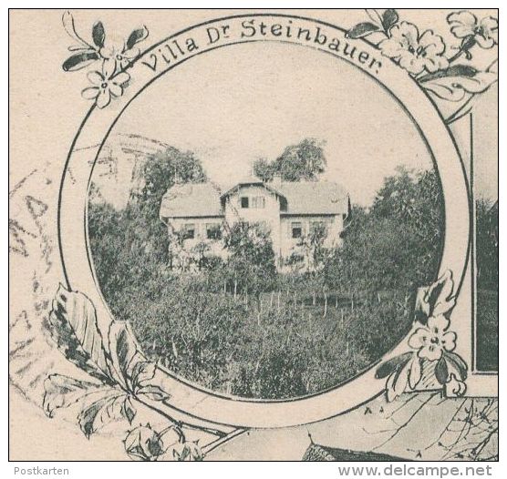 ALTE POSTKARTE GRUSS AUS ST. STEFAN OB STAINZ VILLA DR. STEINBAUER STEINBAUERS GASTHOF Steiermark Austria Cpa AK - Stainz