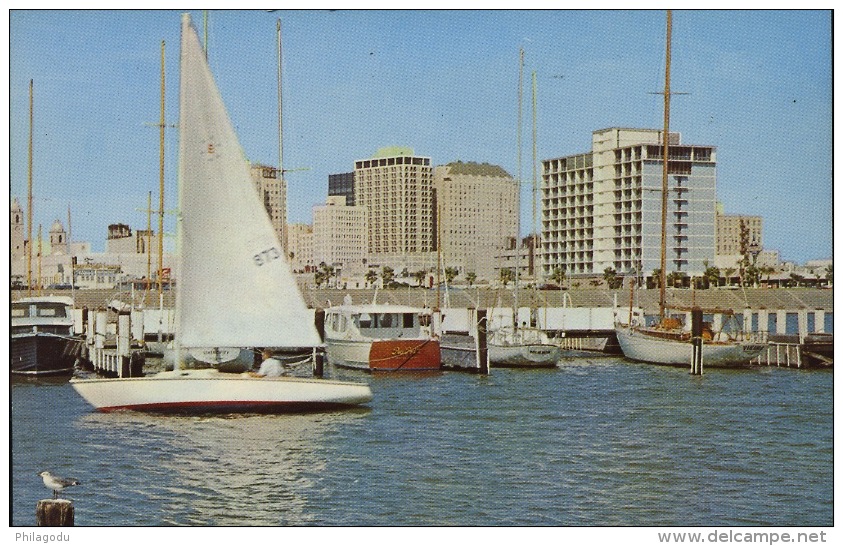 3 Postcard From Corpus Cristi Around 1968 - Corpus Christi