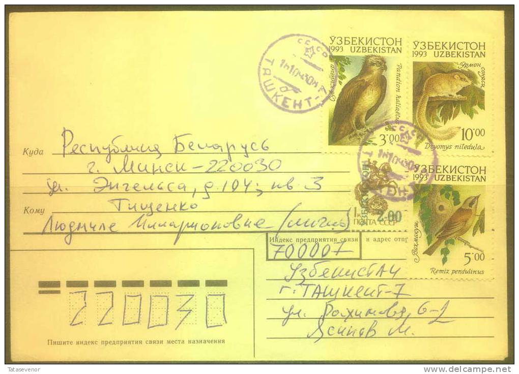 UZBEKISTAN Really Mailed Cover From 1993. Postal History - Uzbekistan