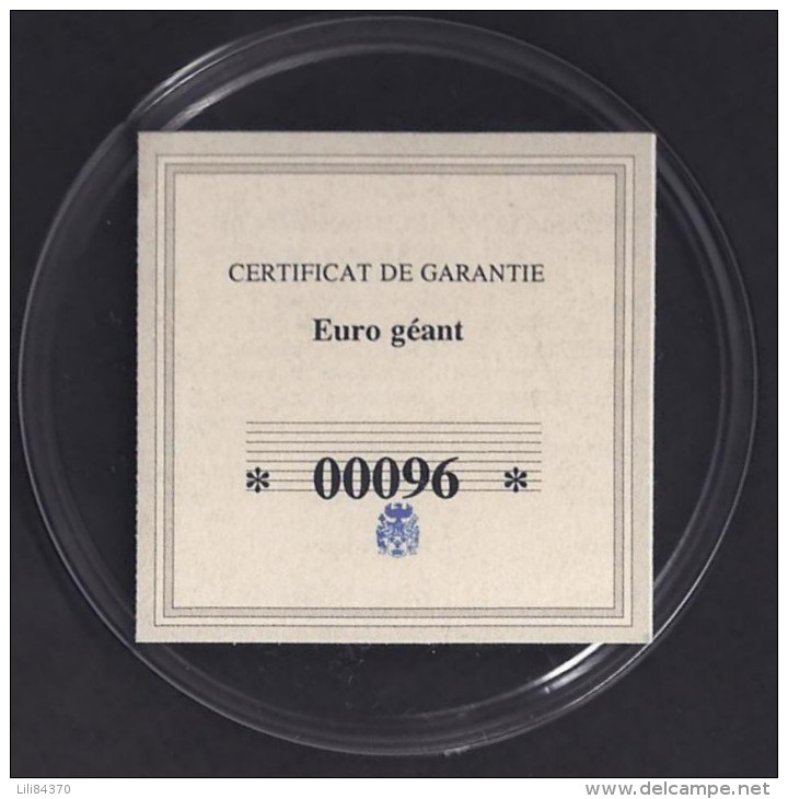 EURO GEANT 10 Ans 1999.2009   70mm. - Unclassified