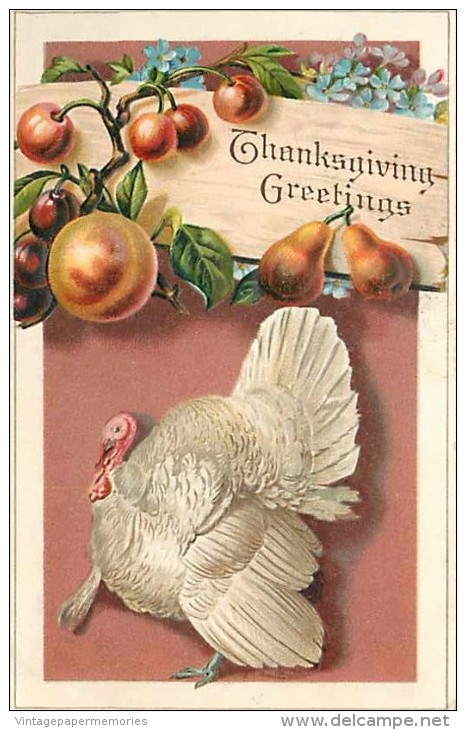 234565-Thanksgiving, Unknown No UP01-1, White Turkey Below Fruits On Vines, Embossed Litho - Thanksgiving