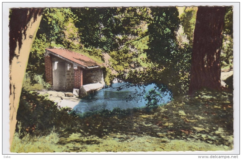 Osny. Lavoir Sur La Viosne. - Osny