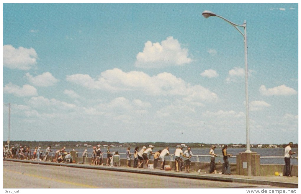 USA, Greetings From Ocean City, Maryland, Bay Fishing, Unused Postcard [16520] - Ocean City