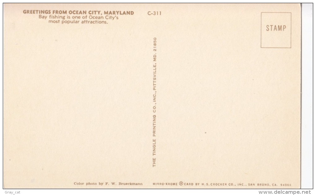 USA, Greetings From Ocean City, Maryland, Bay Fishing, Unused Postcard [16520] - Ocean City
