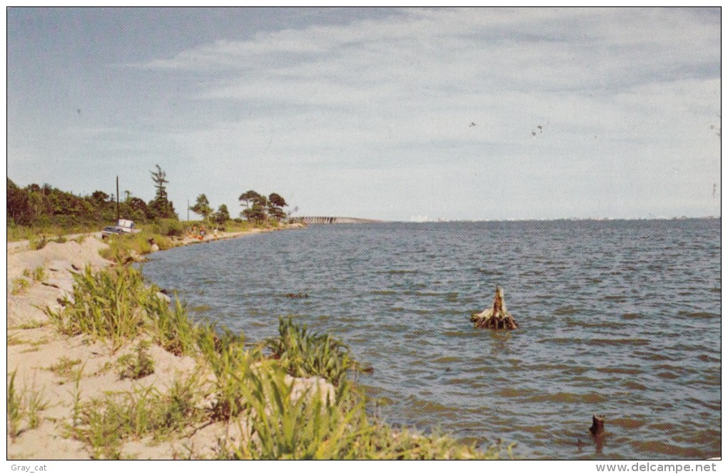 USA, Greetings From Ocean City, Maryland, Unused Postcard [16527] - Ocean City