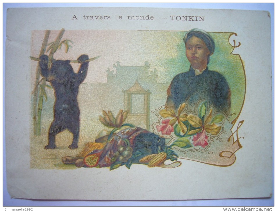 Chromo 1900  A Travers Le Monde - TONKIN - Femme, Ours, Fruits - Otros & Sin Clasificación