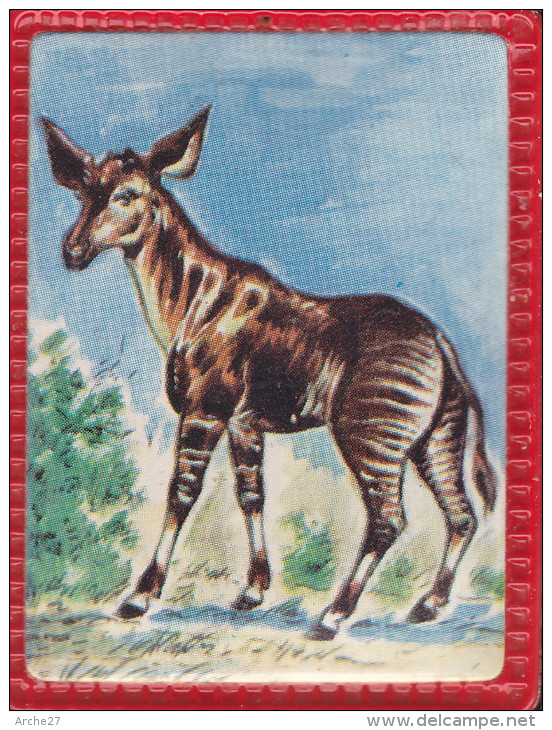 Image Plastifiée - Okapi - Offert Par Vitho - N°34 - Altri & Non Classificati