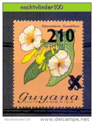 Muk054 FLORA BLOEMEN ODONTADENIA GRANDFLORA * OPDRUK OVERPRINT * FLOWERS BLUMEN FLEURS FLORES GUYANA 1981 PF/MNH - Otros & Sin Clasificación