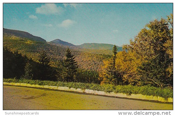 Mount Mitchell Charlotte North Carolina - Charlotte