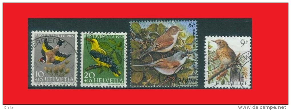 Malta / Belgium / Suisse -  Oiseaux Chanteurs / Songbirds - Passereaux
