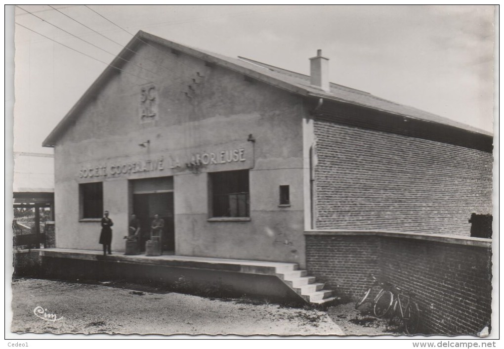 NOYELLES Sur MER  LA COOPERATIVE  LA LABORIEUSE - Noyelles-sur-Mer