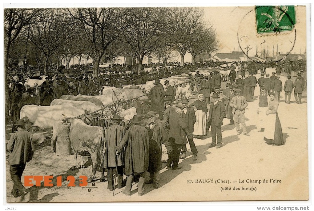 Baugy - Le Champ De Foire - Coté Des Boeufs - Marché Aux Bestiaux - 18 Cher - Baugy