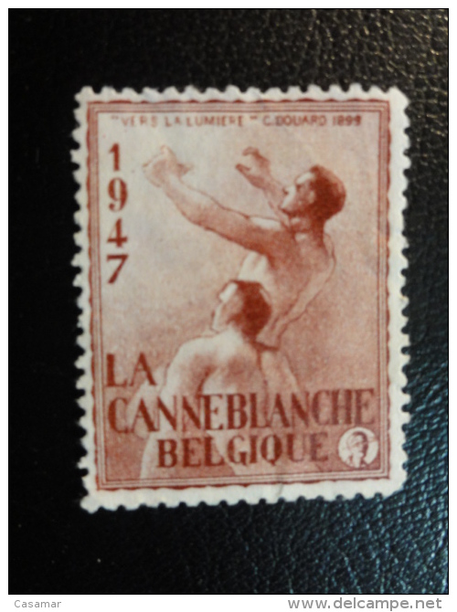 1947 La Canne Blanche Vignette Poster Stamp Label Belgium - Erinnophilie [E]