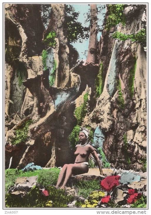 Postal Guiné Portuguesa - Bissau - Rapariga E O Poilão - Femme Seins Nus - Topless Woman - Carte Postale - Postcard - Guinea-Bissau