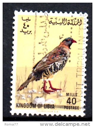 LYBIA LIBIA 1965 ,  40 M. N. 173  Usato - Libia