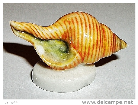 Coquillage (J) - Animaux