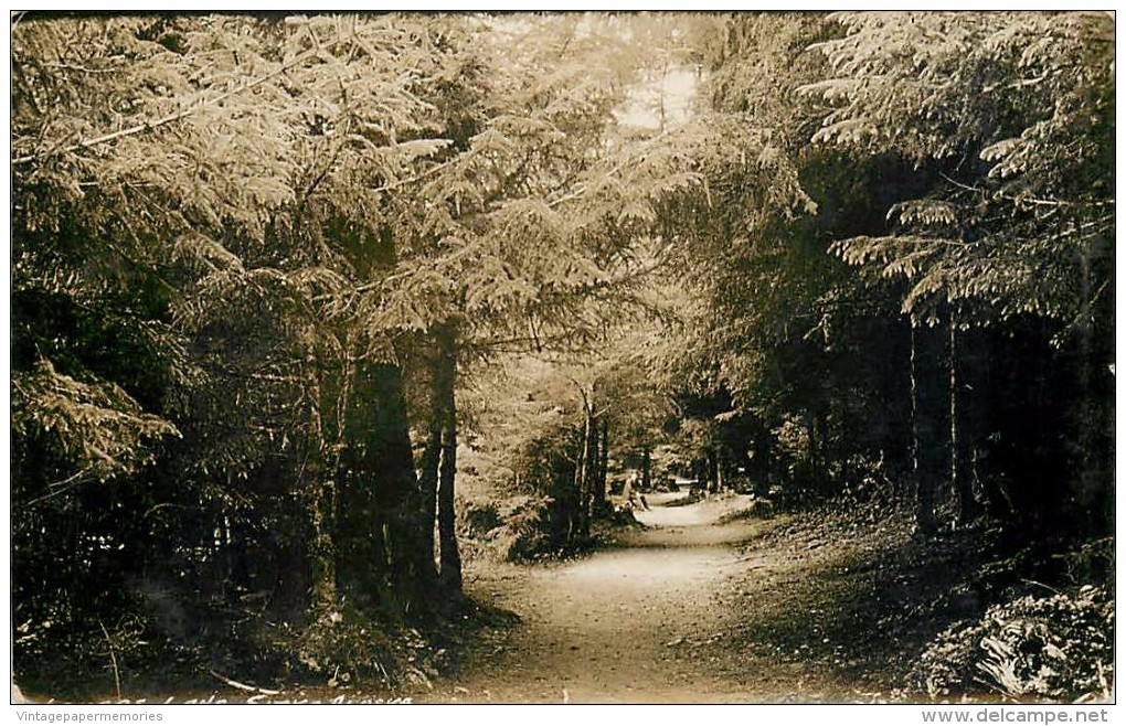 262027-Alaska, Sitka, RPPC, Lovers Lane - Sitka