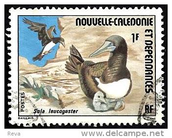 NEW CALEDONIA  BIRD SULA LAUCOGASTER SET OF 1 1 FRANC USED 1980's SG561 READ DESCRIPTION !! - Gebraucht