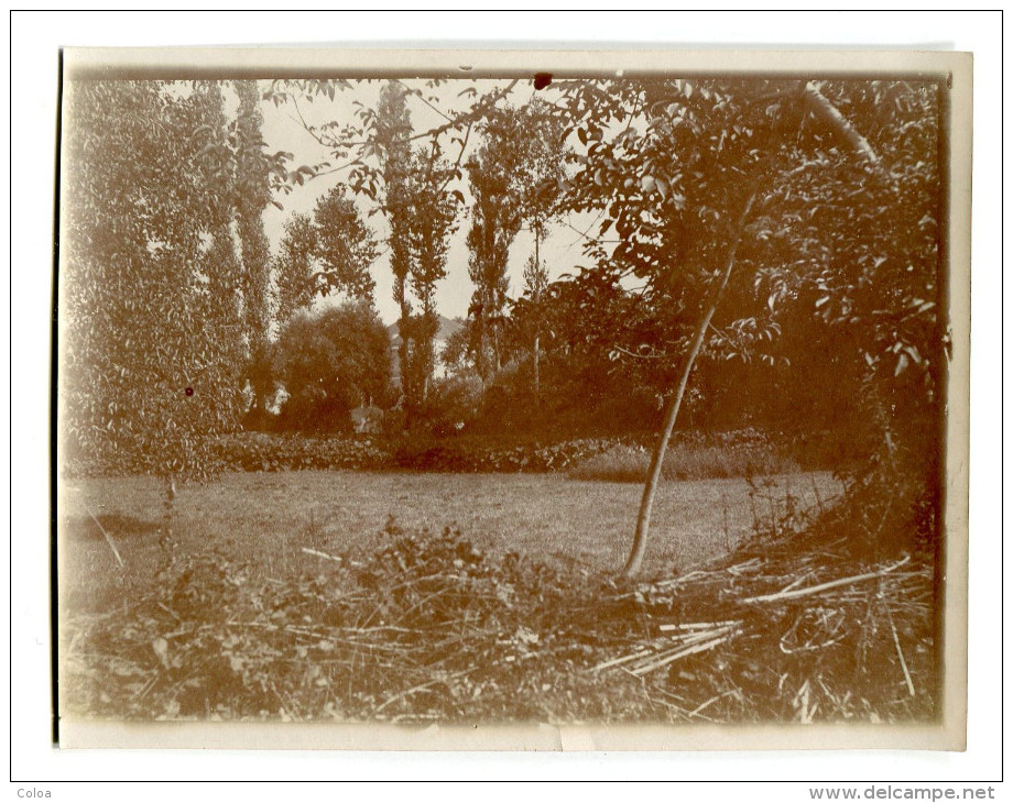 Photographie Privée SAIN Dans L'Yonne Vers 1900 - Lieux