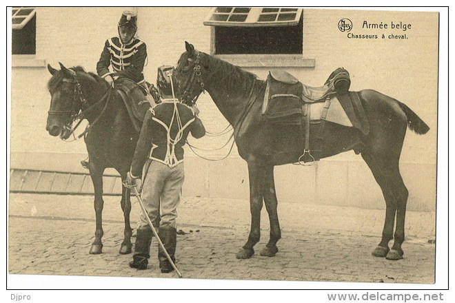 Armée Belge   Chasseurs A Cheval - Autres & Non Classés