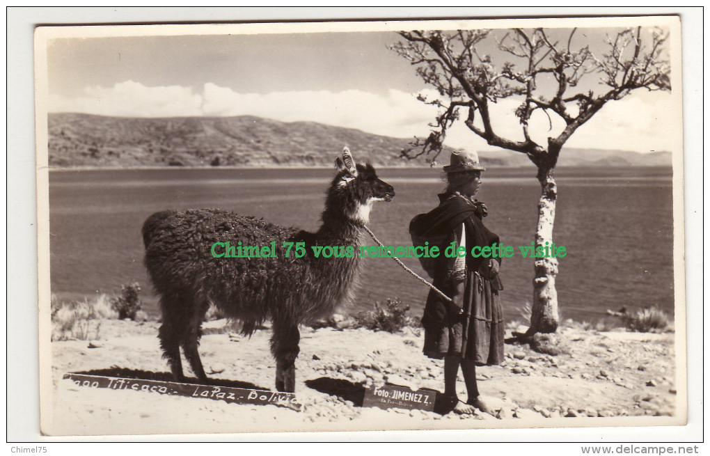 BOLIVIE Carte Type Photo JIMENEZ    Lac Titicaca  Lama Et Paysanne - Bolivia